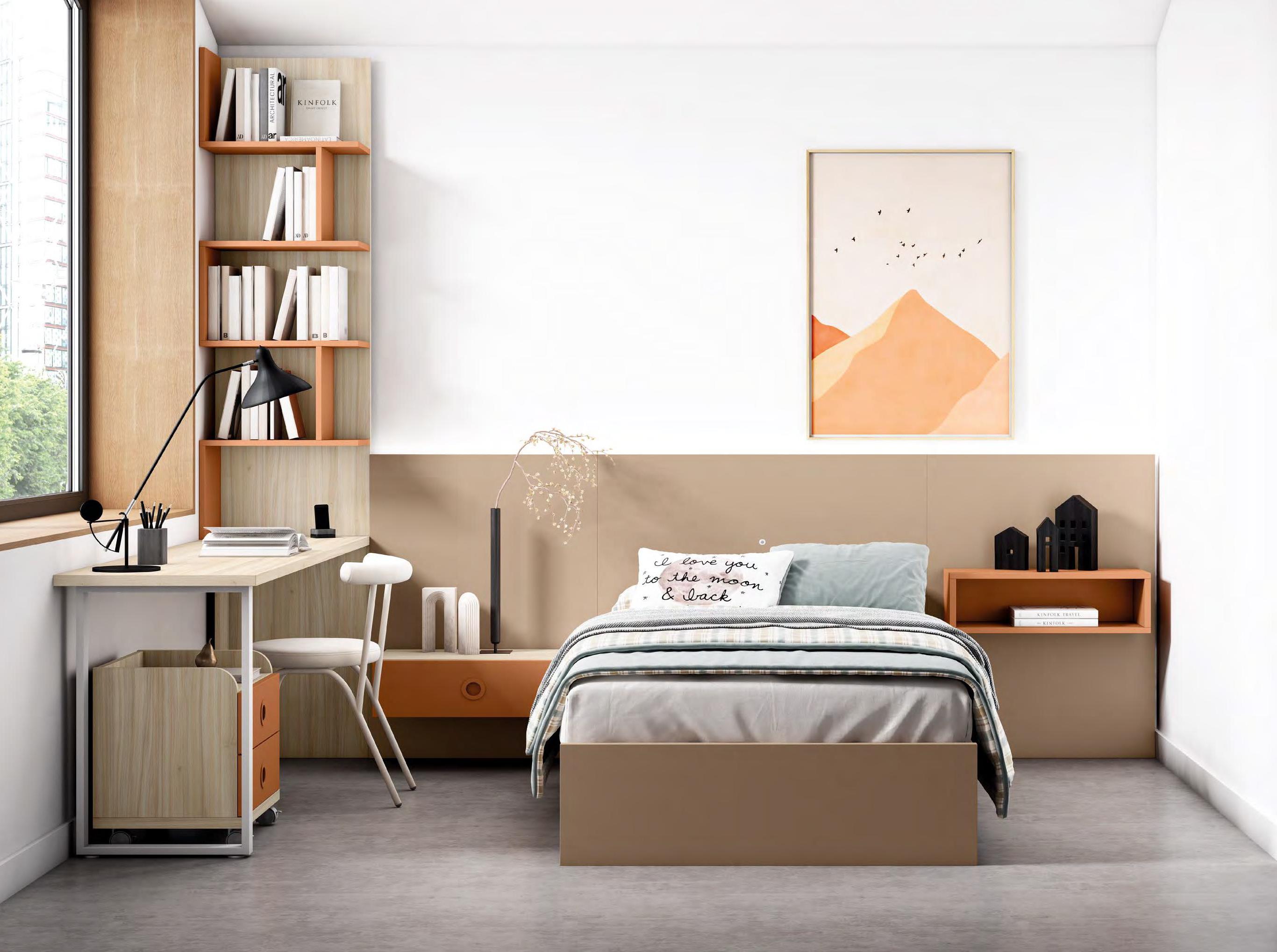 10653-60 Dormitorio Juvenil Modular 